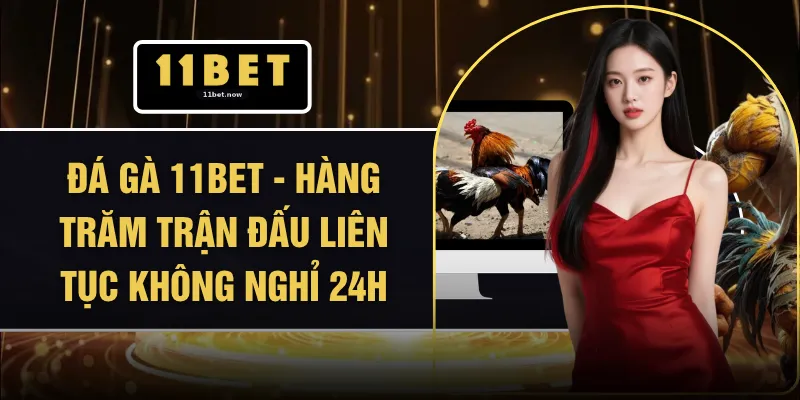 Đá Gà 11BET - Hàng Trăm Trận Đấu Liên Tục Không Nghỉ 24h 1 Đá Gà 11BET - Hàng Trăm Trận Đấu Liên Tục Không Nghỉ 24h