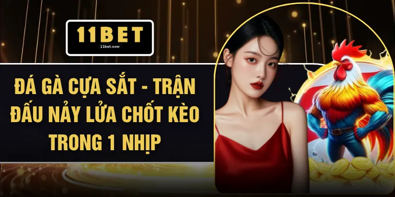 Đá Gà Cựa Sắt - Trận Đấu Nảy Lửa Chốt Kèo Trong 1 Nhịp 1 Đá Gà Cựa Sắt - Trận Đấu Nảy Lửa Chốt Kèo Trong 1 Nhịp