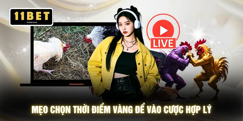Chiến Thuật Đá Gà - Bắt Nhịp Sới Đấu Xuống Lệnh 1 Chạm 4 Mẹo chọn thời điểm vàng để vào cược hợp lý